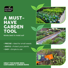 Trench-planting preparation using Seeding Square Sneaky Weeder