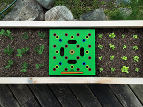 Seeding Square user-friendly garden kit sparks sustainable growing at home.