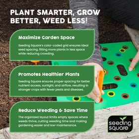 Seeding Square weed-control layout highlights dense crop advantage.