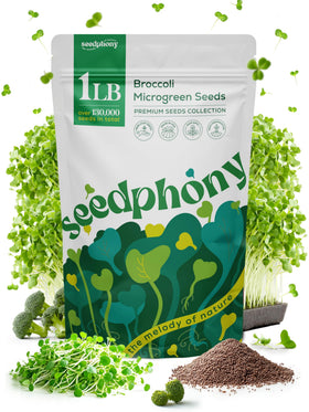 Seedphony broccoli seeds bag ideal for home sprouting and reliable germination.