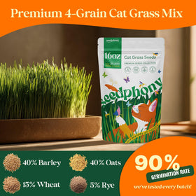Seedphony Cat Grass Growing in Tray demonstrates indoor cultivation for pet greens