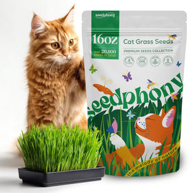 Seedphony Cat Grass Seed Mix Pack showing ready-to-grow seeds for pets
