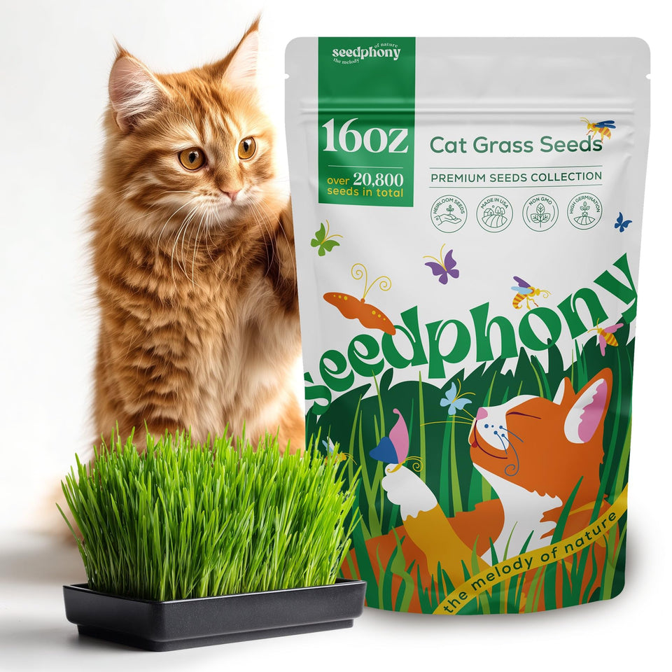 Seedphony Cat Grass Seed Mix Pack showing ready-to-grow seeds for pets