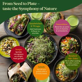 Seedphony seeds in USA-packaged resealable bag emphasizing freshness.