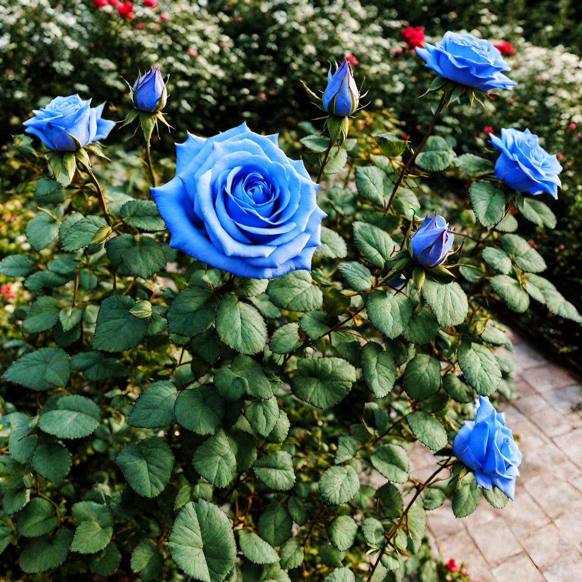 Seeds Of Strength easy-grow rose seeds for beginners and versatile landscaping.