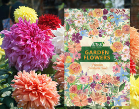 Seeds Of Strength exotic labyrinth pattern dahlia, eye-catching geometry for a standout bed.