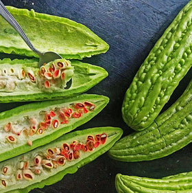 Seeds Of Strength non-GMO bitter melon seeds offer premium harvest potential.