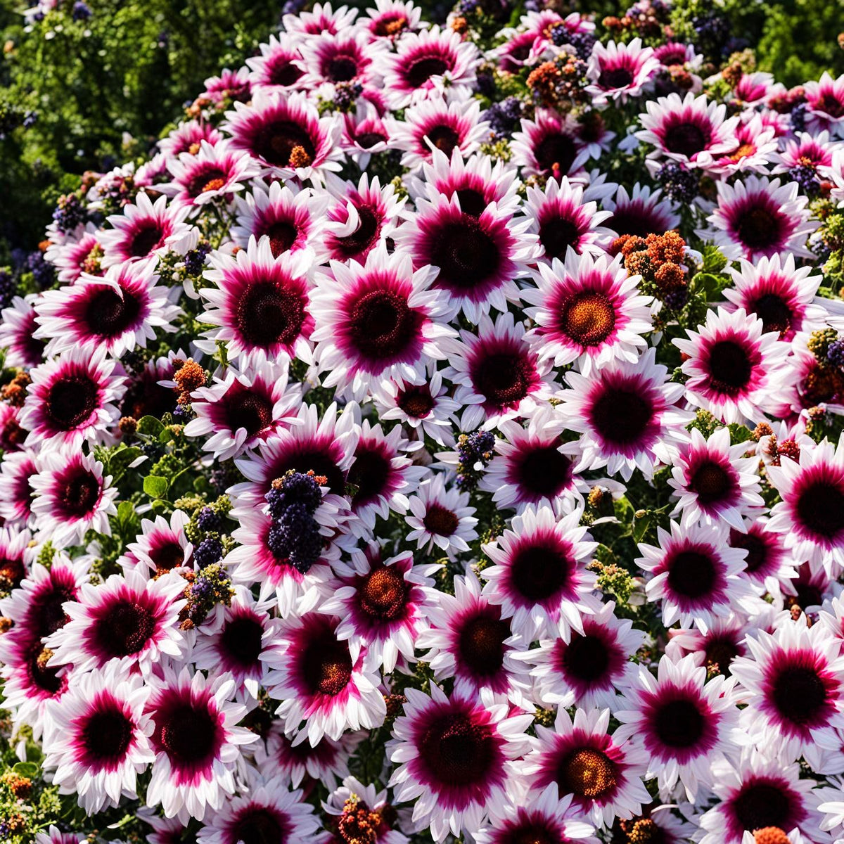 Seeds Of Strength seasonal garden vase ideas with sturdy stems.
