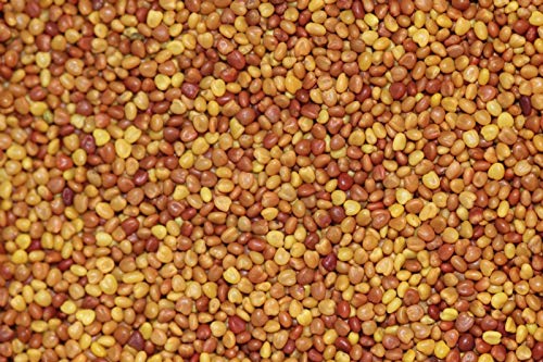 Seeds2Go White Clover growth reaching 8-12 inches for dense coverage