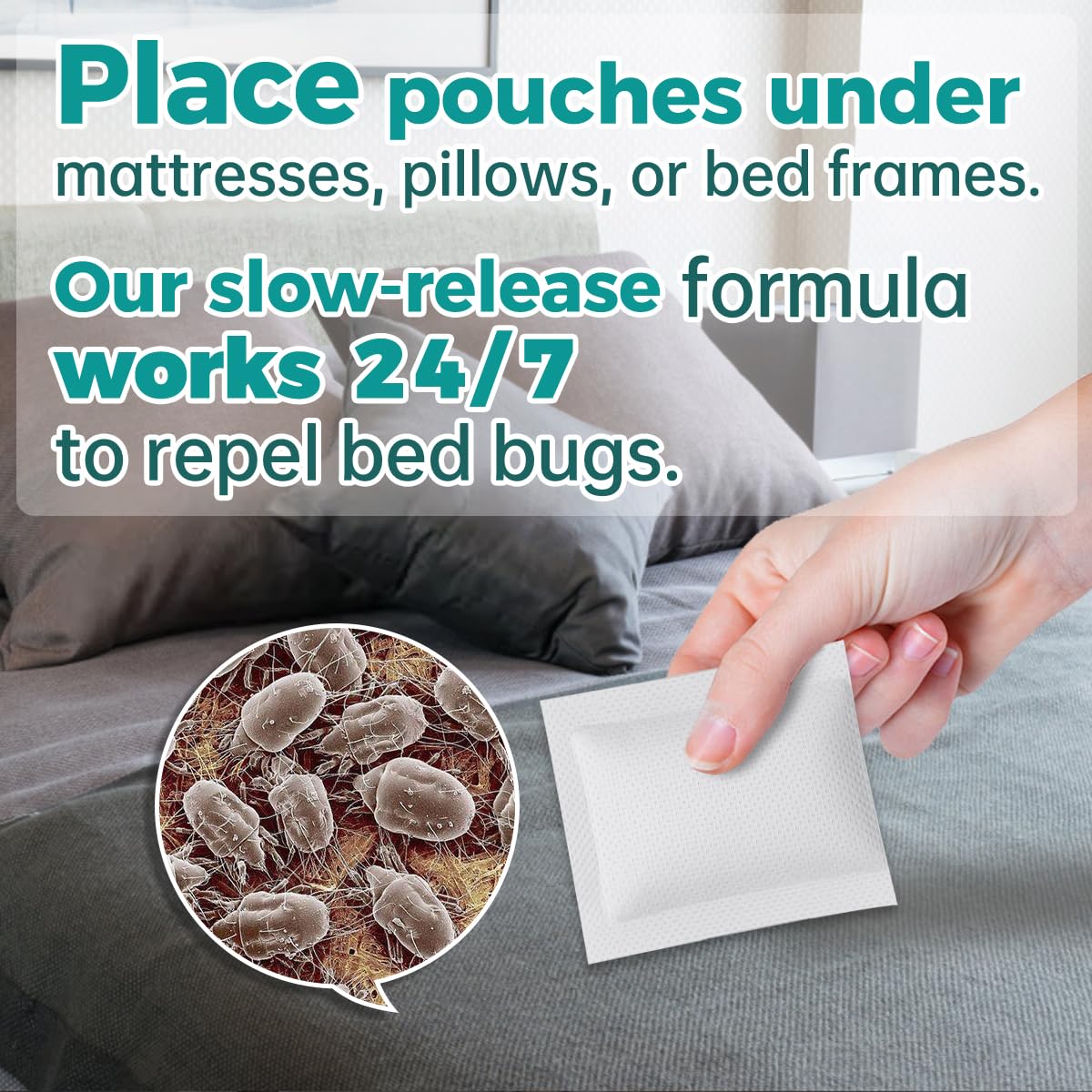 SEEKDIT pouch reaches outlets and padding to deter hidden bed bugs.