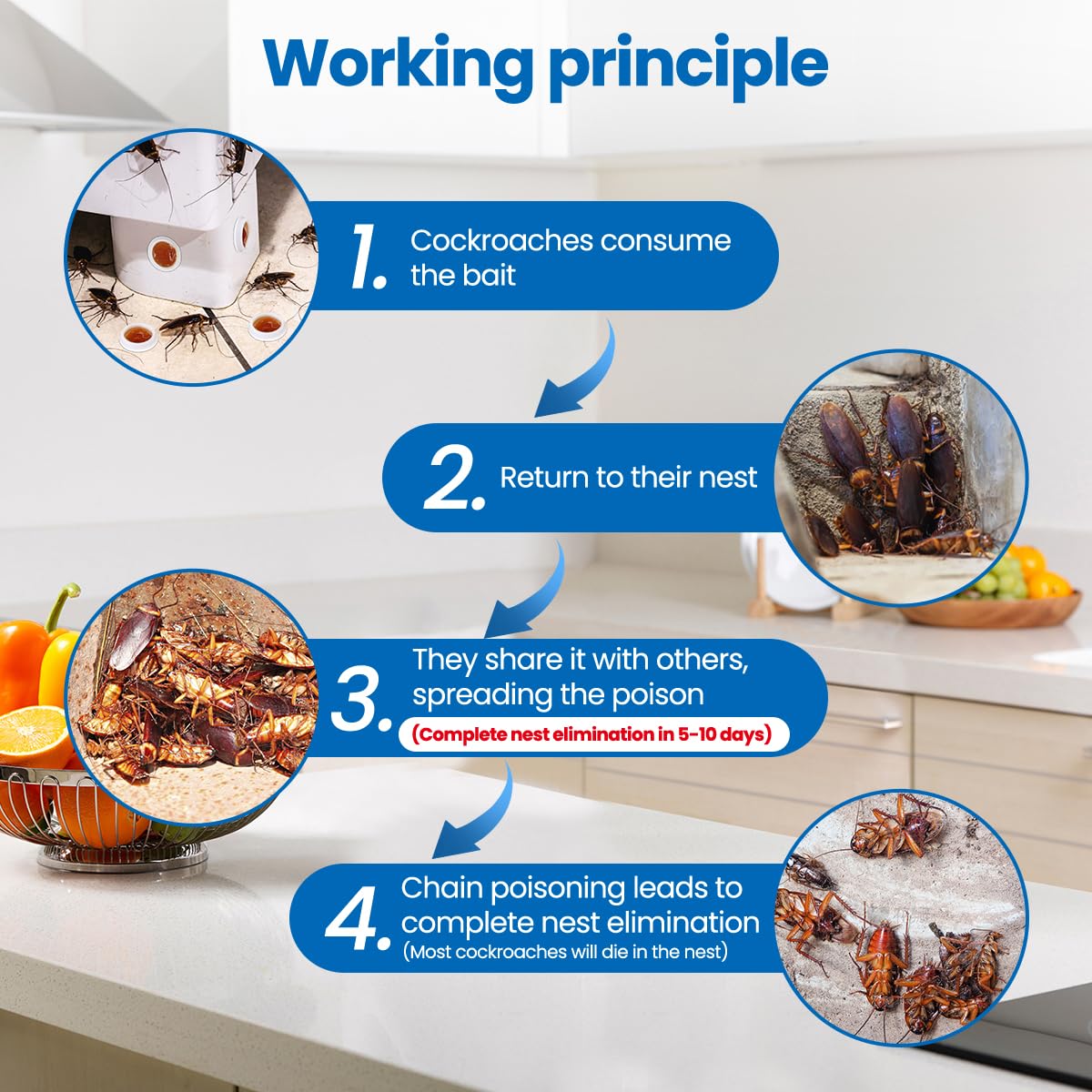 SEEKDIT roach repellent in pantry targets interior roach activity.
