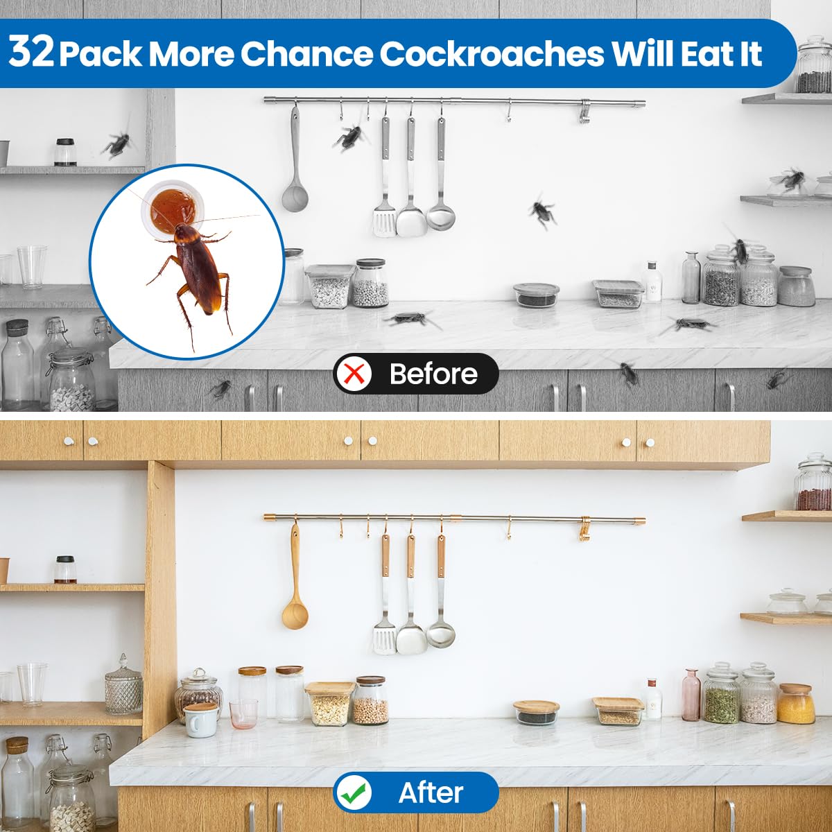 SEEKDIT roach station lid open shows bait exposure.