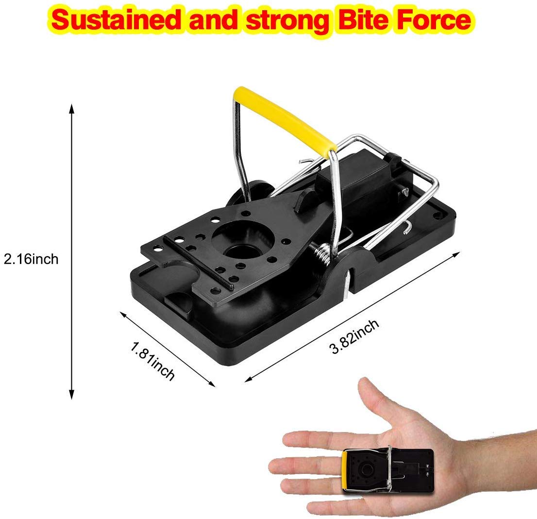 SEEPIS reinforced-base trap shows durable construction for long-term use