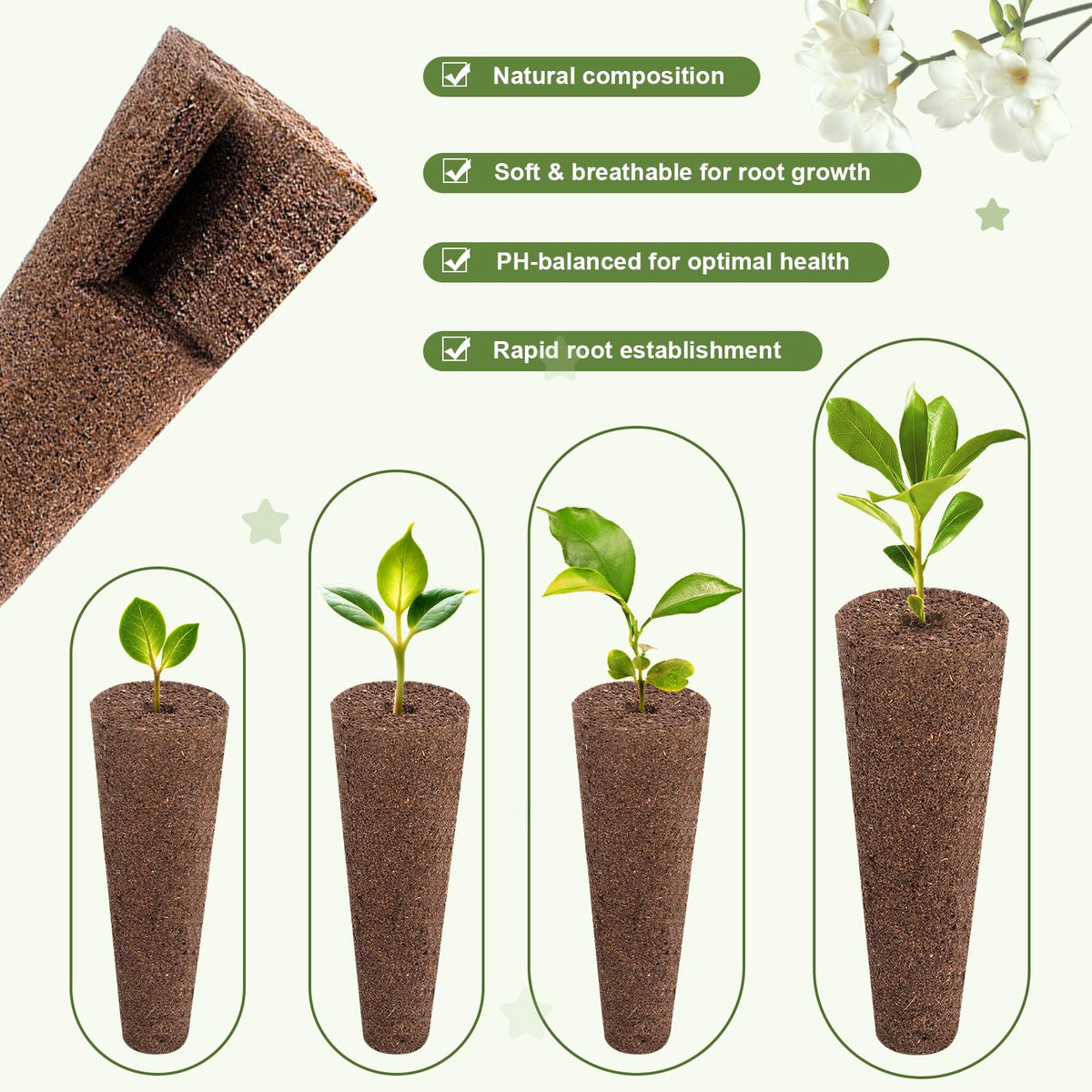 Seewaazee 12 grow baskets for durable seed pods