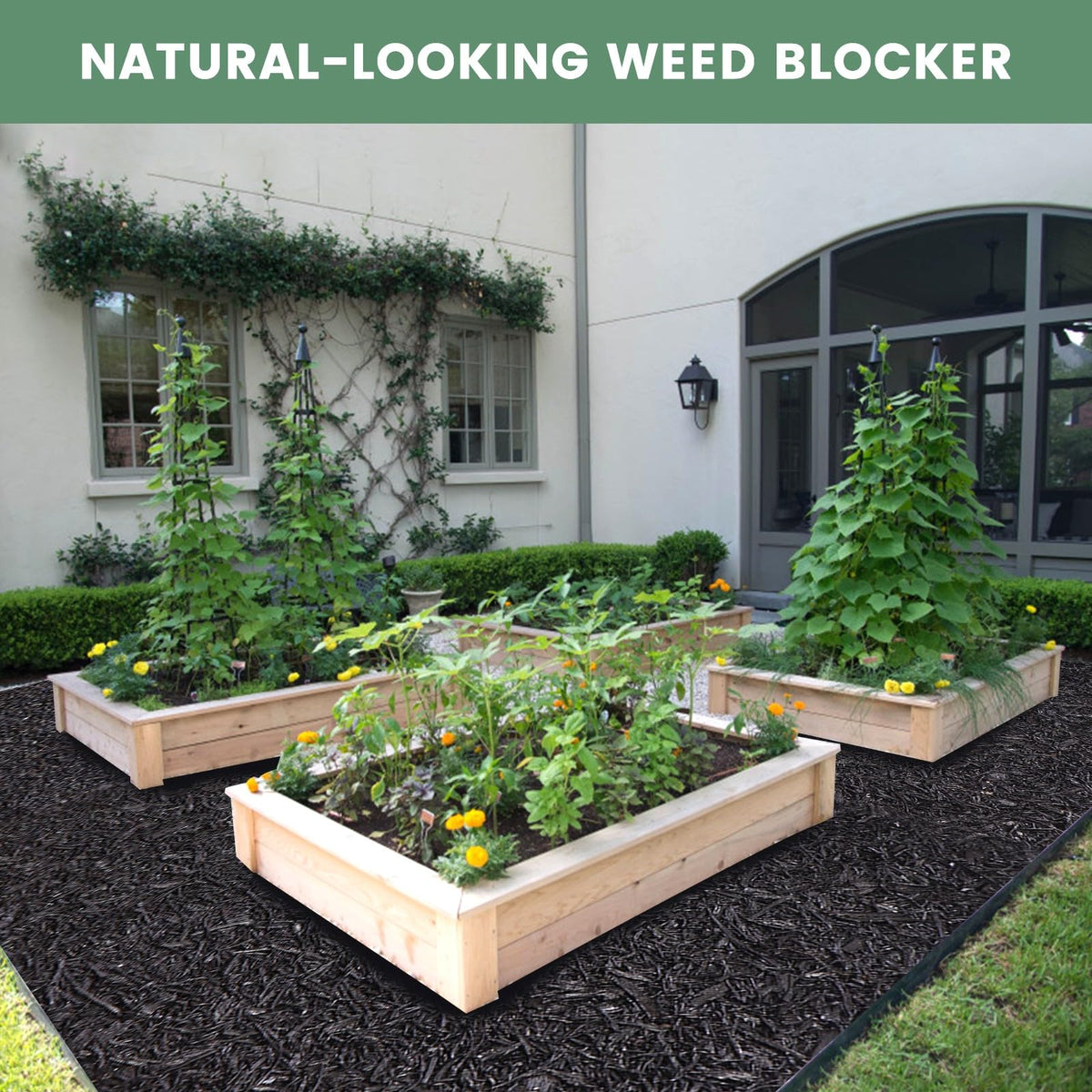 Sekcen mulch roll installed between raised beds for neat edging.