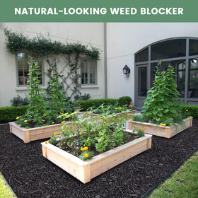 Sekcen mulch roll installed between raised beds for neat edging.
