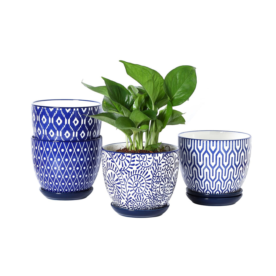 Selamica ceramic plant pot with drainage hole for healthy root airflow.