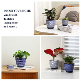 Selamica blue pot packaging and presentation ready as a gift.