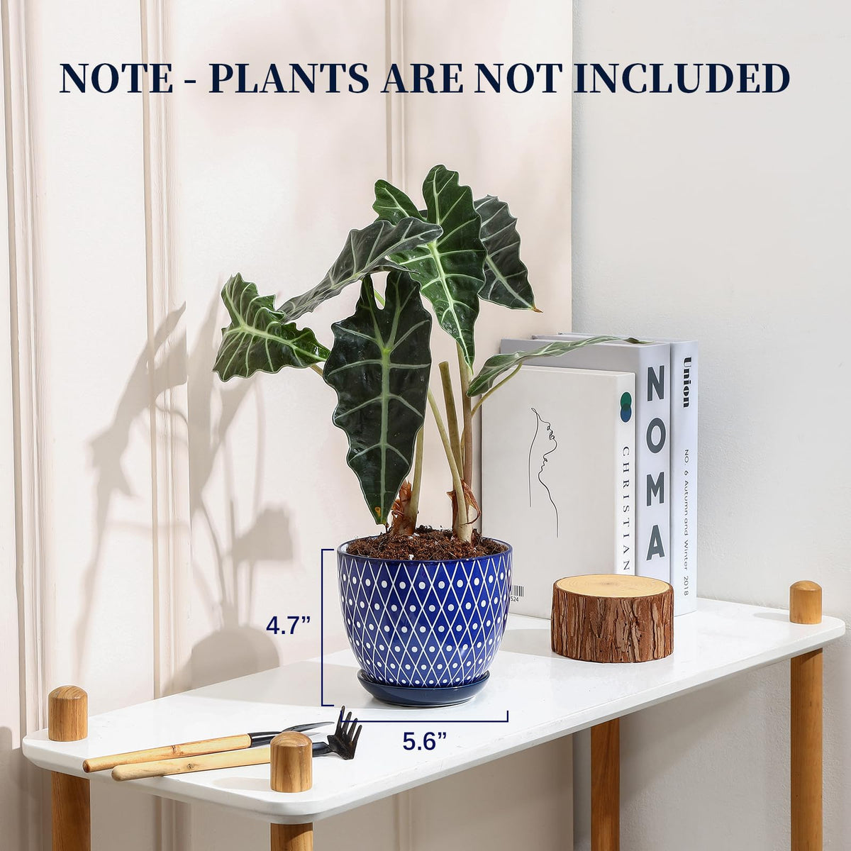 Selamica blue ceramic planter on tabletop for stylish indoor display.