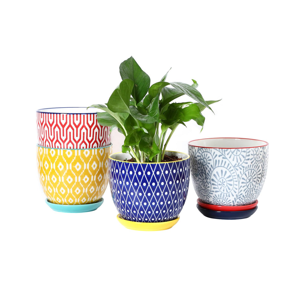 Selamica ceramic pot with drainage hole and saucer for healthy indoor watering.