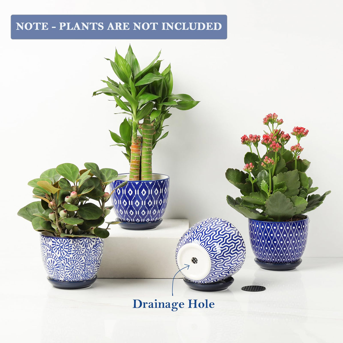 3.5 inch pots from Selamica perfect for small succulents and herbs.