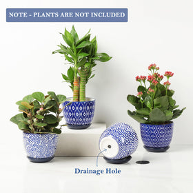 3.5 inch pots from Selamica perfect for small succulents and herbs.