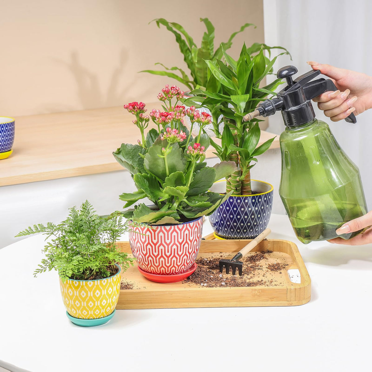 Selamica modern ceramic pot enhances home decor with vibrant colors.
