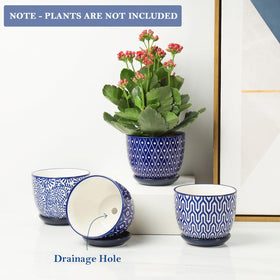 Drip tray rim with mesh pad shown with Selamica planter.