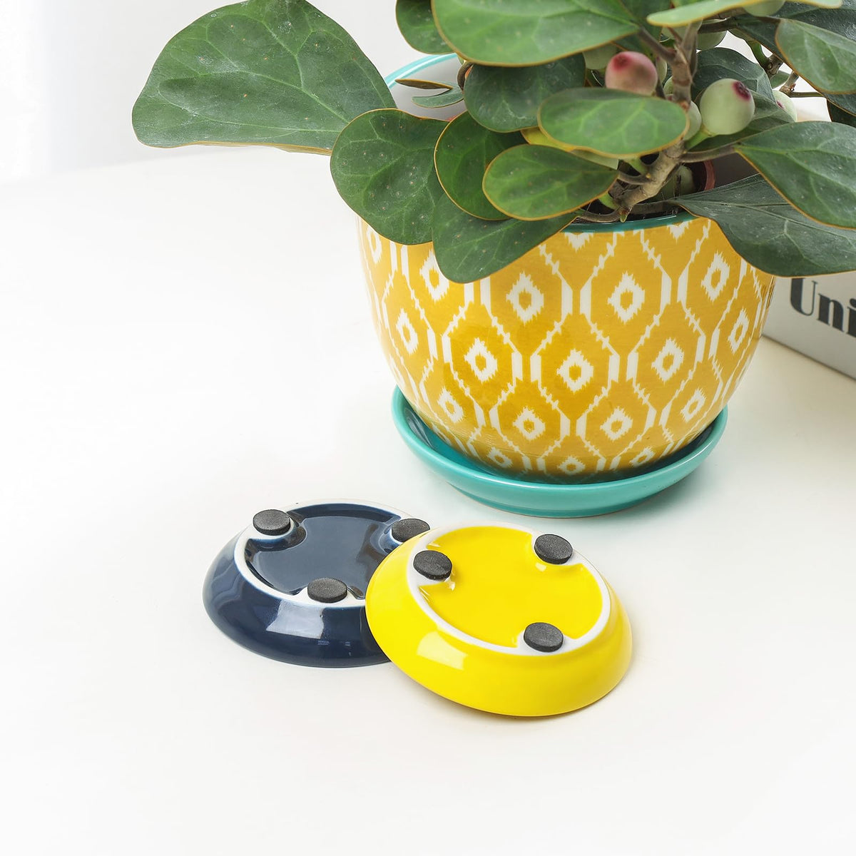 Selamica set of four ceramic pots adds color to windowsills.