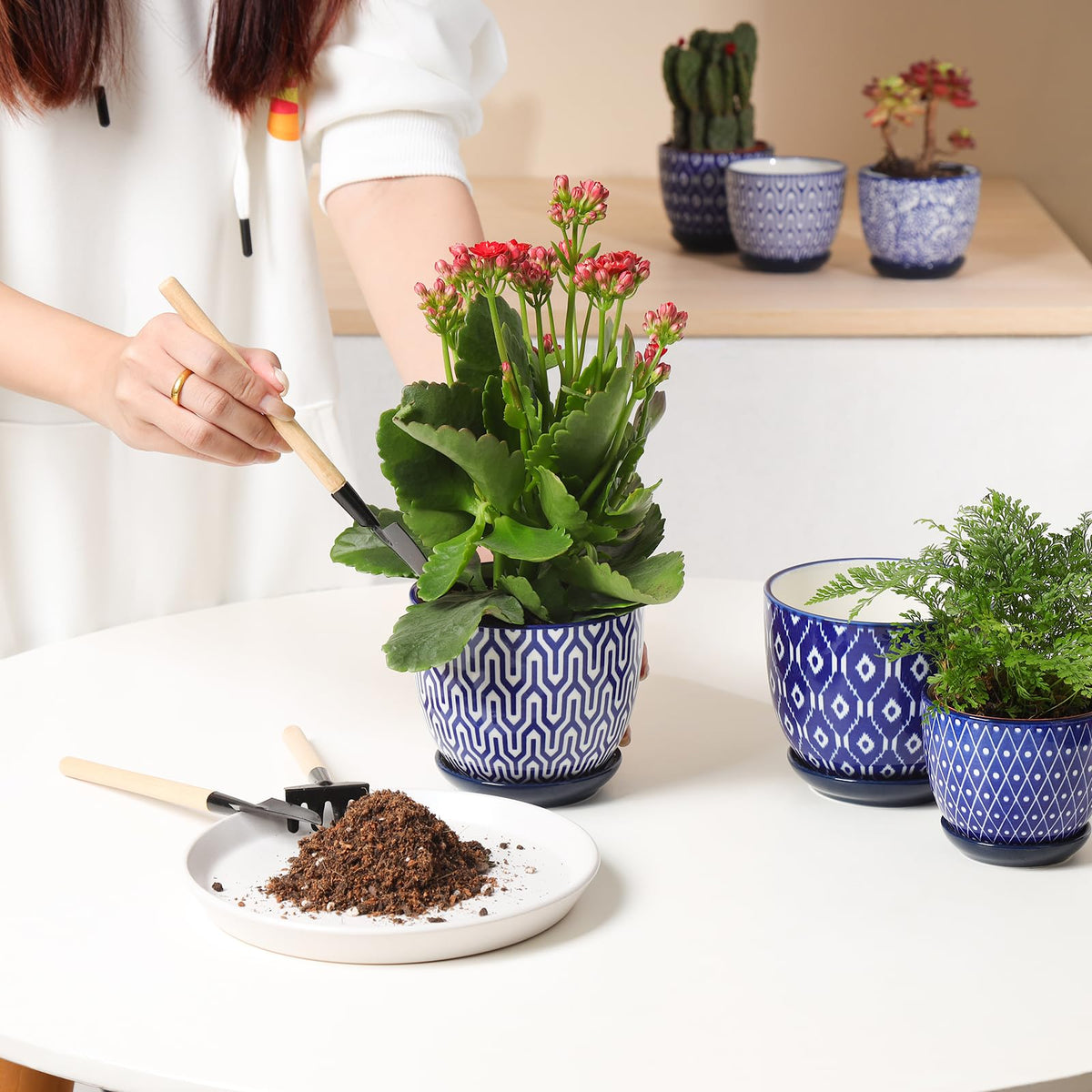 Set of four Selamica pots brightening a windowsill.