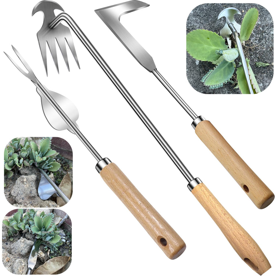 Semifrut 3 Pack weeder set with four-tine head for efficient weed removal in cracks