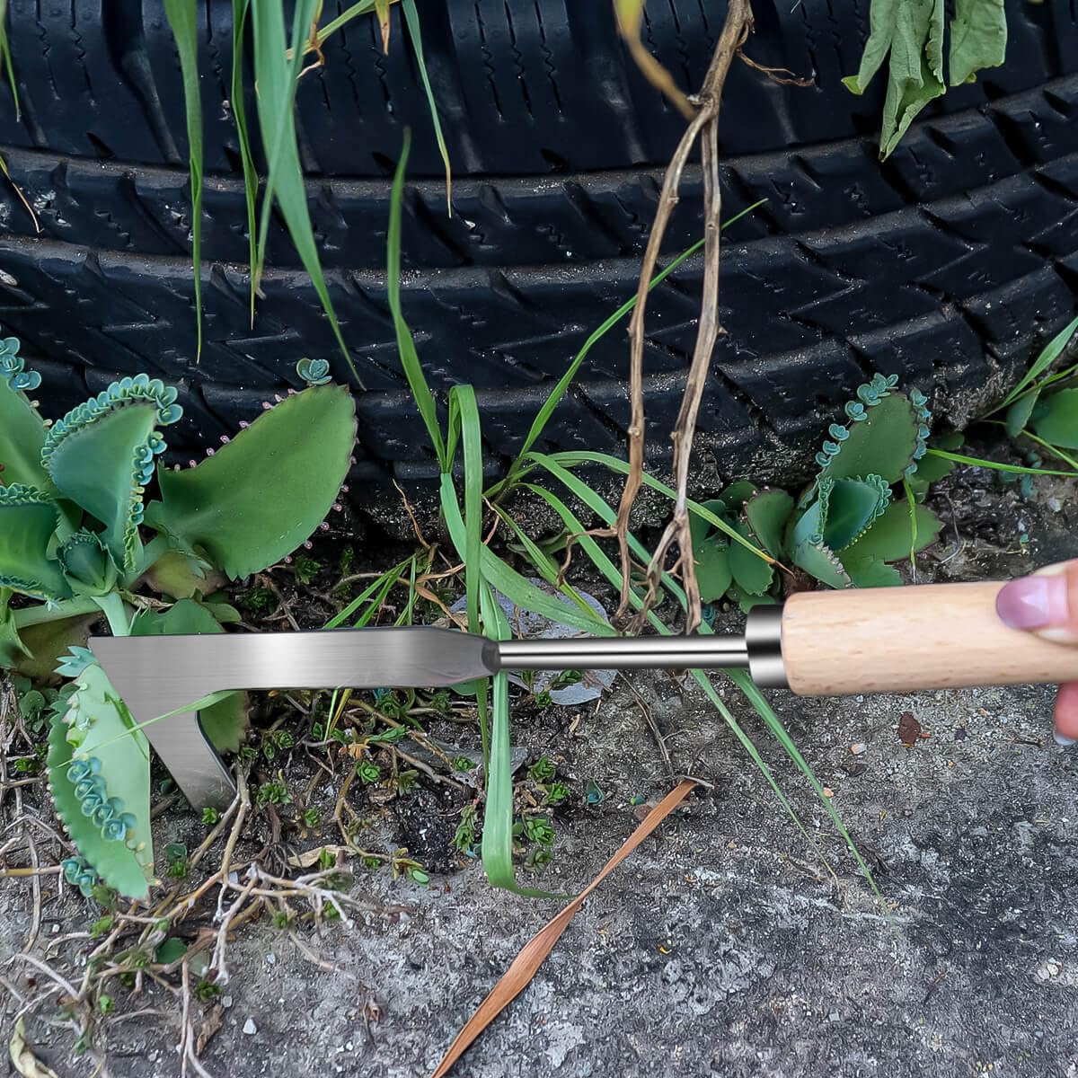 Semifrut patio weeder in action removing weeds from slabs