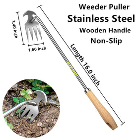 Semifrut 4-tine stainless steel weed puller designed for soil loosening.