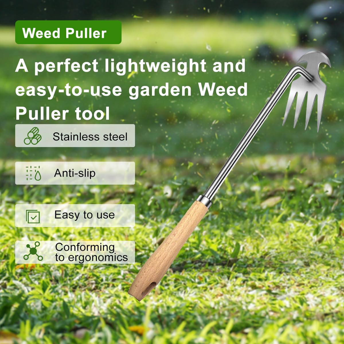 Semifrut ergonomic wooden-handle weed puller enables comfortable standing use.
