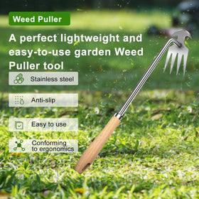Semifrut ergonomic wooden-handle weed puller enables comfortable standing use.