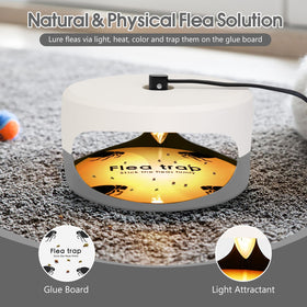 SENITEK EARPADS demonstrates six light bulbs for strong pest attraction