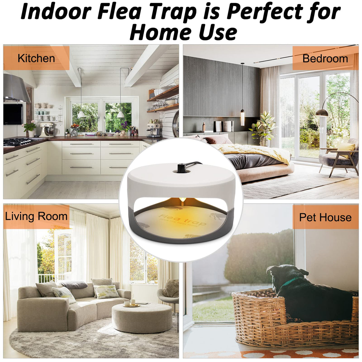 SENITEK EARPADS odorless, non-toxic glue traps are safe around kids and pets.
