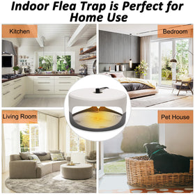 SENITEK EARPADS odorless, non-toxic glue traps are safe around kids and pets.