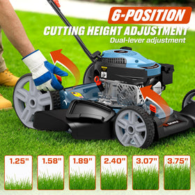 SENIX assembly guide image highlights hassle-free setup with clear instructions.