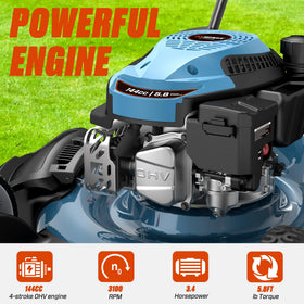 SENIX front 8in and rear 11in wheels deliver improved traction.