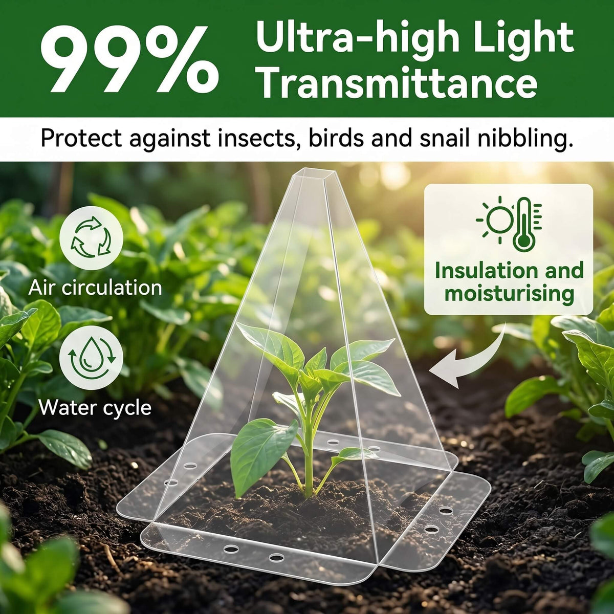 SENWELL-KA clear PET material maximizes sunlight for growth.