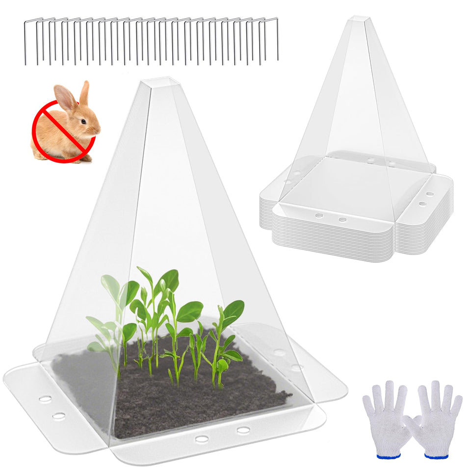 SENWELL-KA garden cloches protect seedlings from cold and pests.