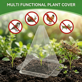 SENWELL-KA mini greenhouse effect extends growing season.