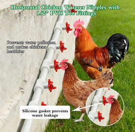 Senylanhxy automatic poultry waterer system supports cleaner water access.