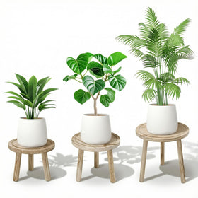 SEQUEDA wood plant stand 11-inch height elevates a large plant in a living room display