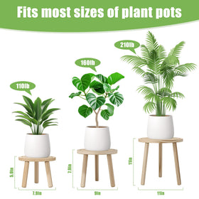 SEQUEDA 5.9-inch height stand ideal for succulents or herbs on a windowsill