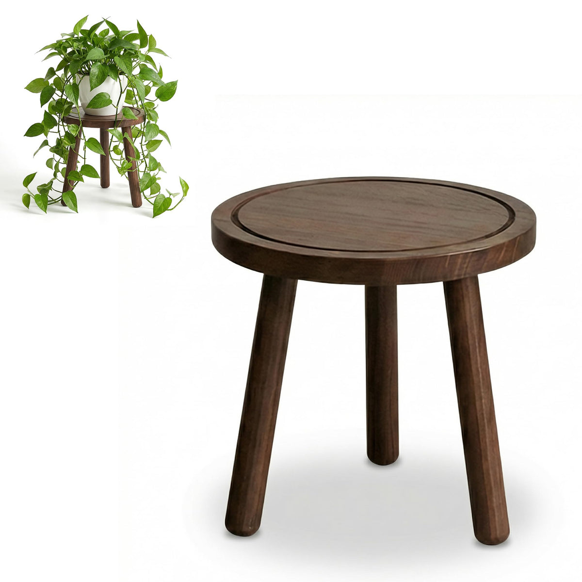 SEQUEDA wood plant stand in dark brown, side view, elevating a lush green plant