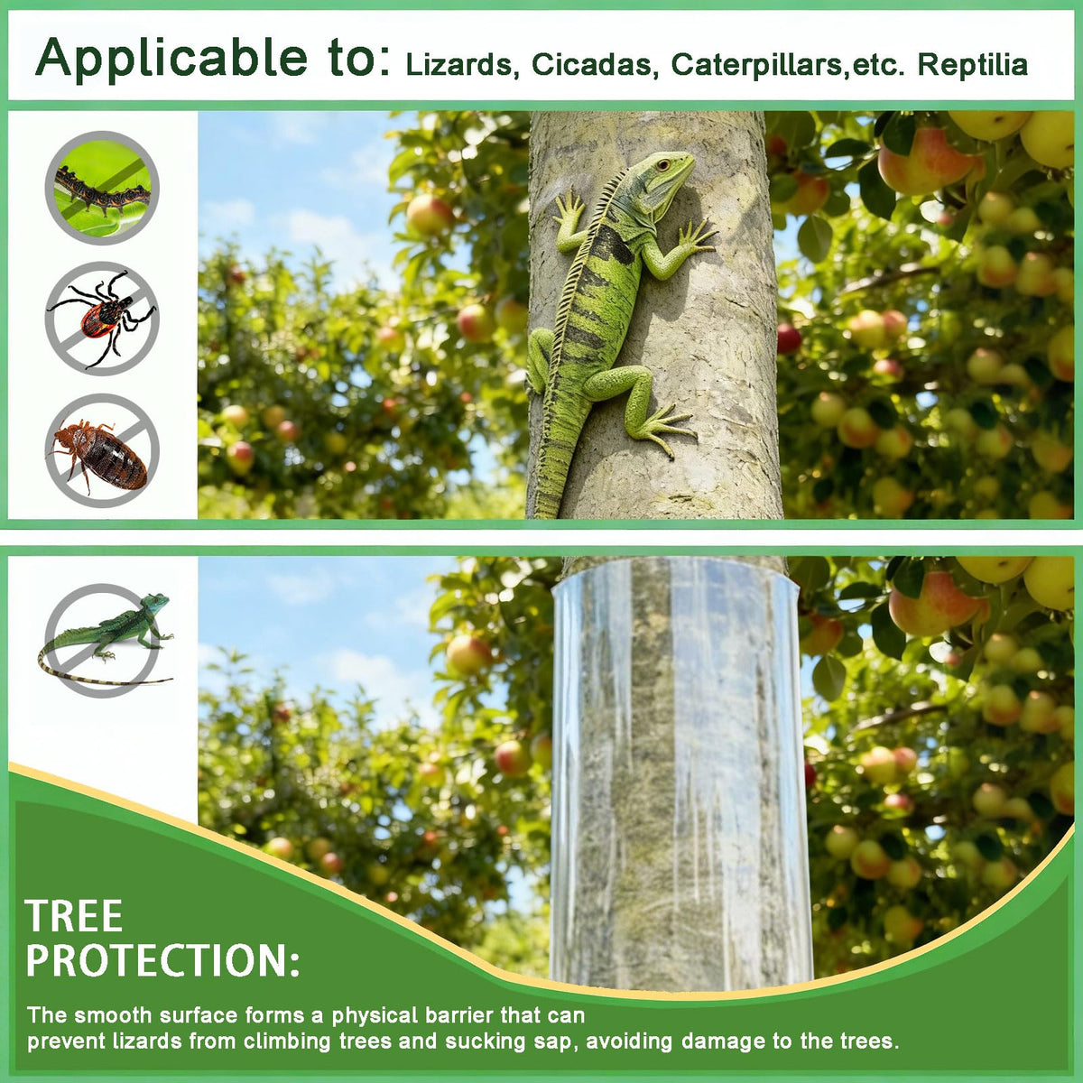 60x16 inch roll enables easy cuts for multiple trunks