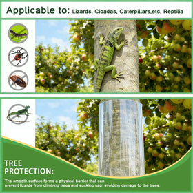 60x16 inch roll enables easy cuts for multiple trunks