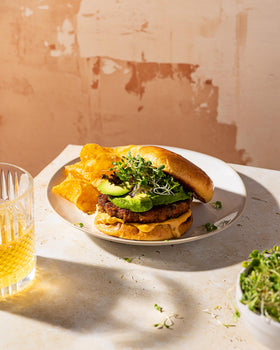 Sereniseed alfalfa microgreens harvest, vibrant greens to elevate sandwiches and side dishes.
